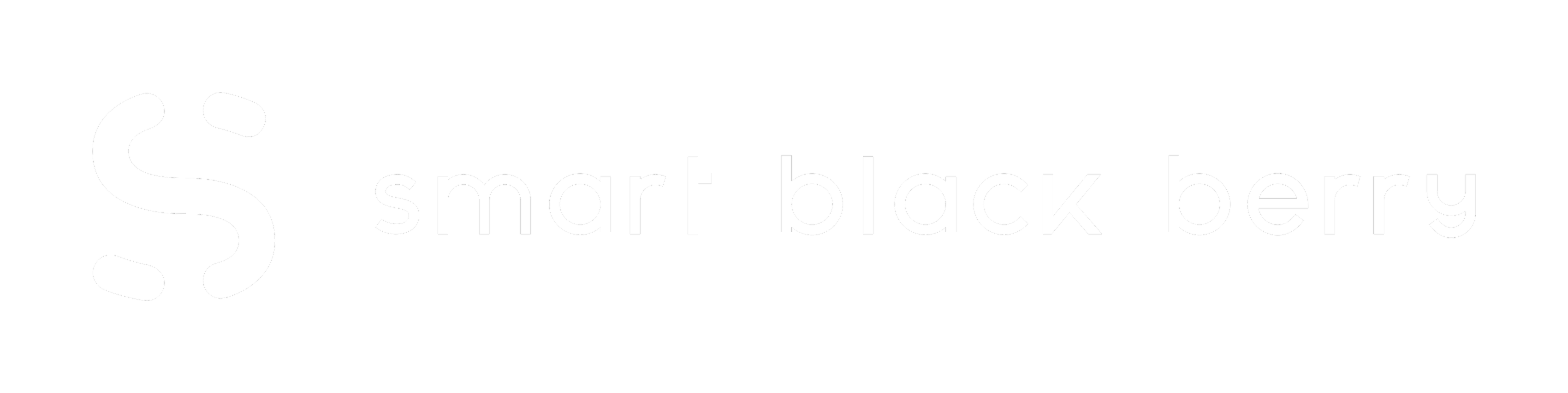 Smart BlackBerry